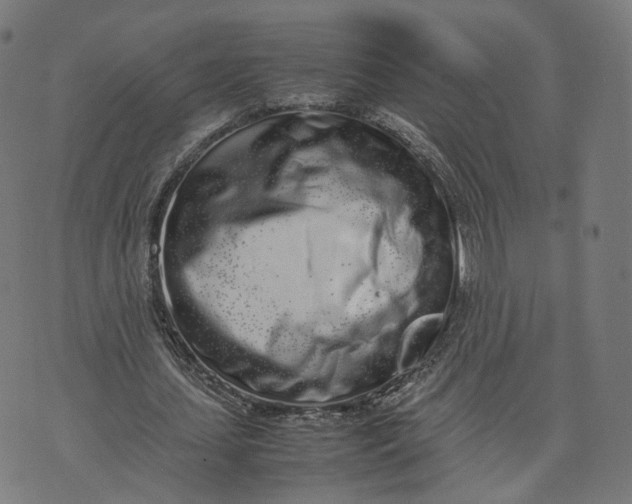 X0000070380627200606231713