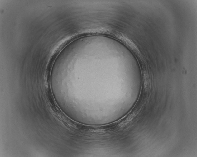 X0000070380628200606231713