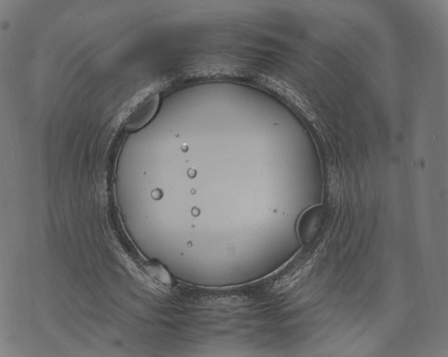 X0000070380629200606231713