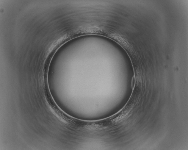 X0000070380630200606231713