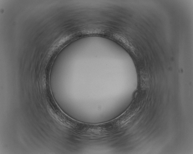 X0000070380631200606231713