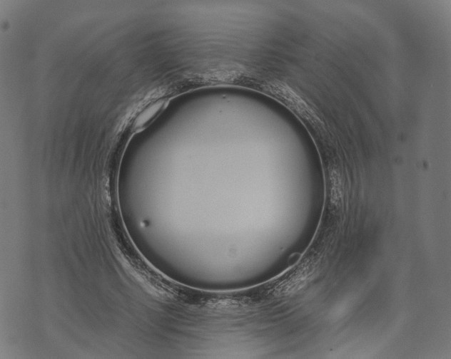 X0000070380634200606231713