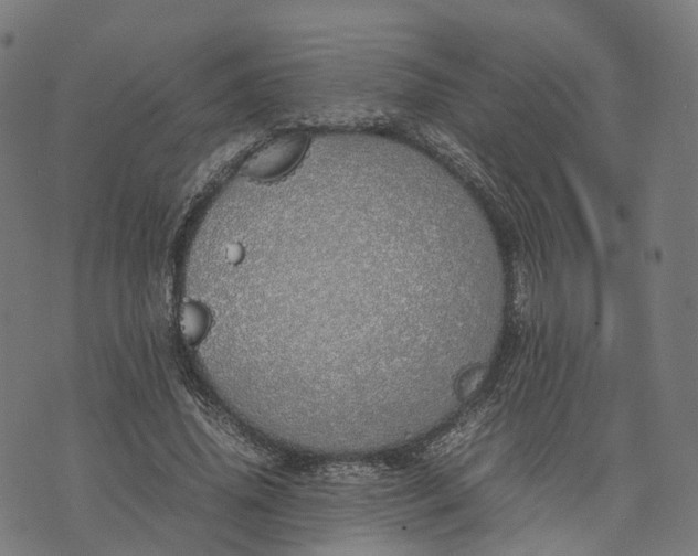 X0000070380636200606231713