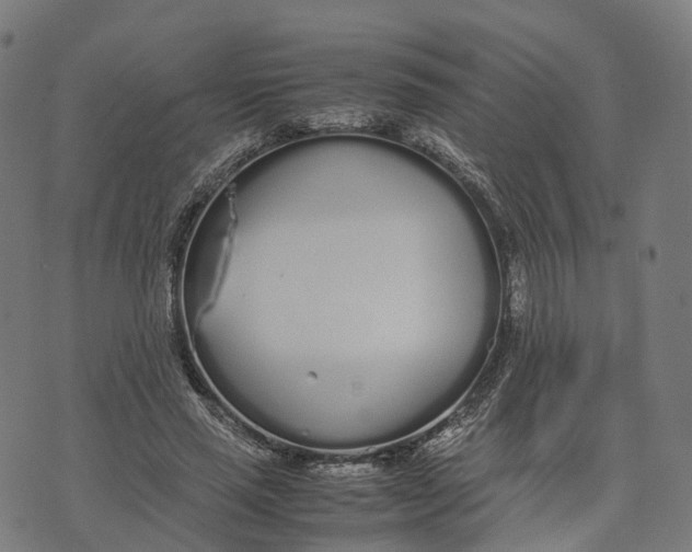 X0000070380637200606231713