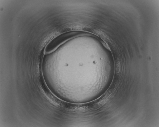 X0000070380638200606231713