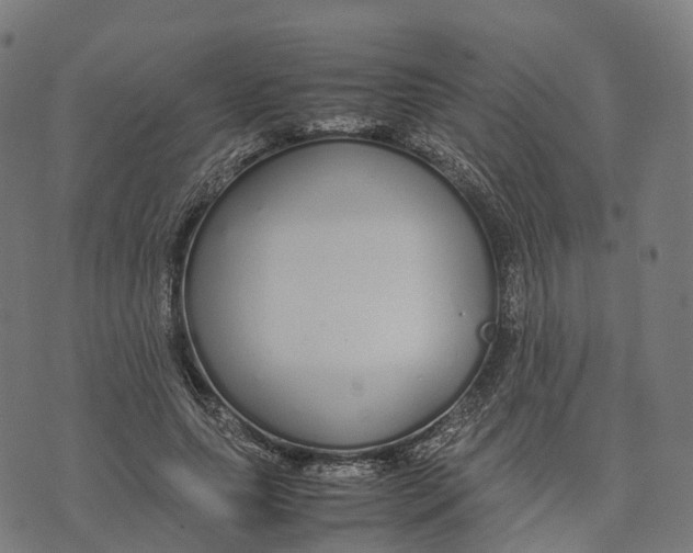 X0000070380639200606231713