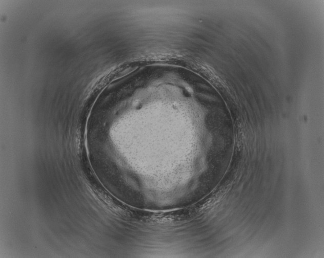 X0000070380640200606231713