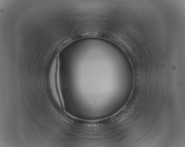 X0000070380641200606231713