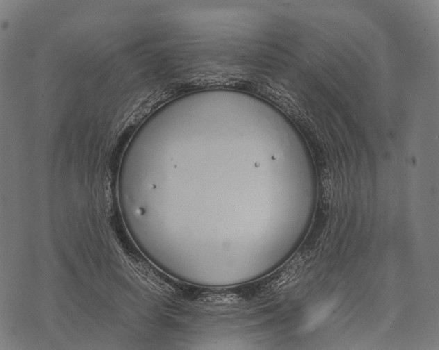 X0000070380642200606231713