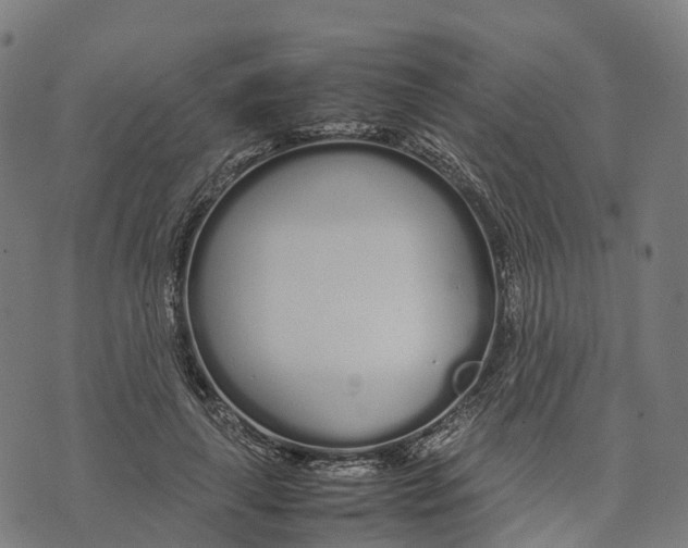 X0000070380643200606231713