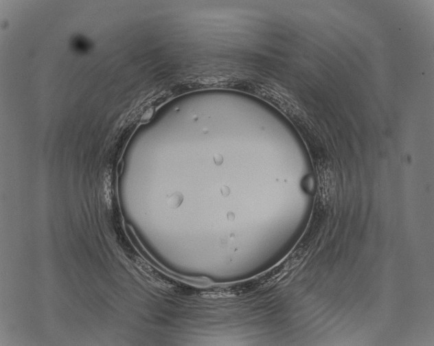 X0000070380644200606231713