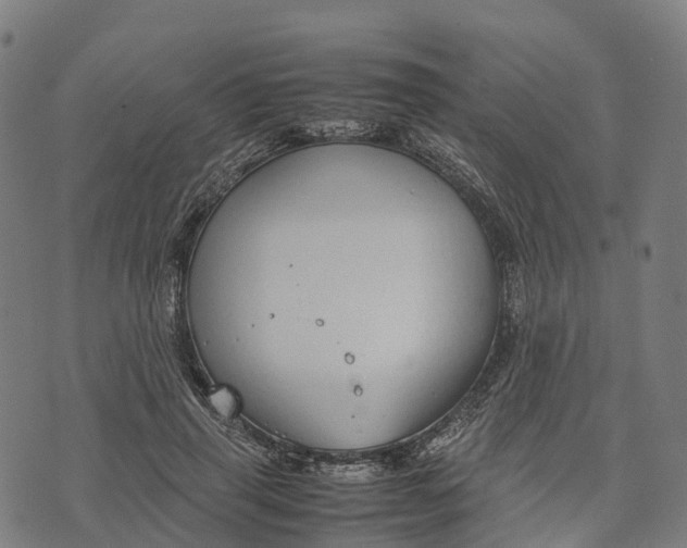 X0000070380645200606231713