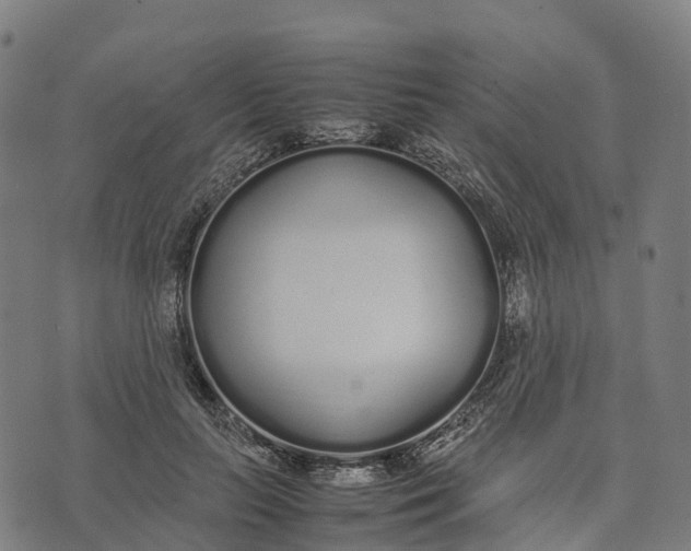 X0000070380647200606231713