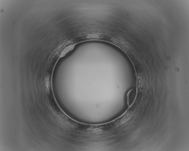 X0000070380648200606231713