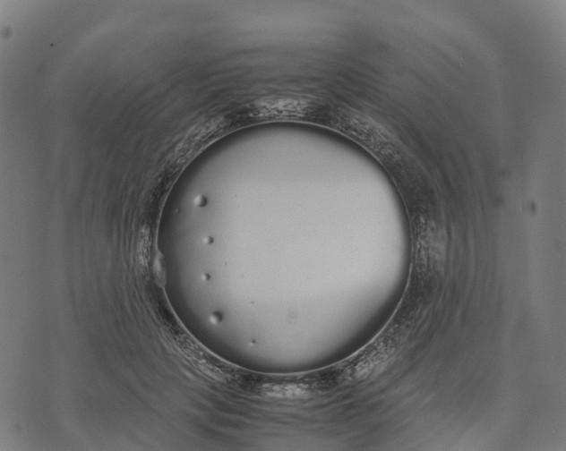 X0000070380649200606231713