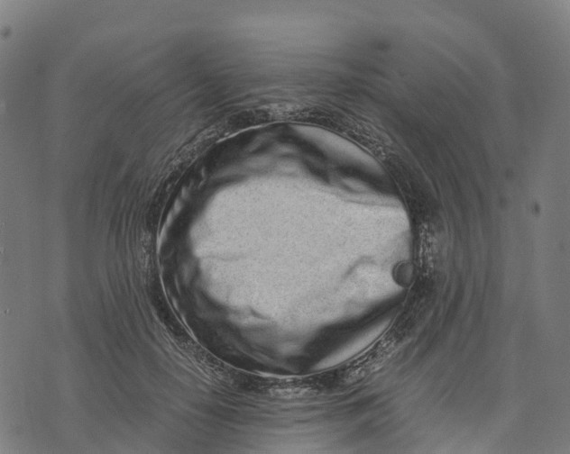 X0000070380650200606231713