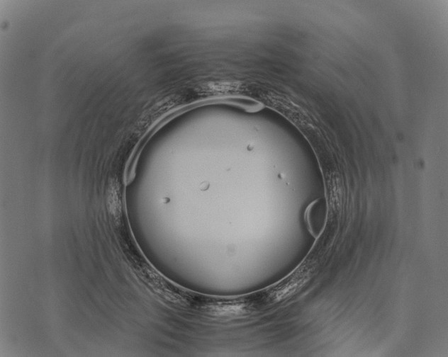 X0000070380651200606231713