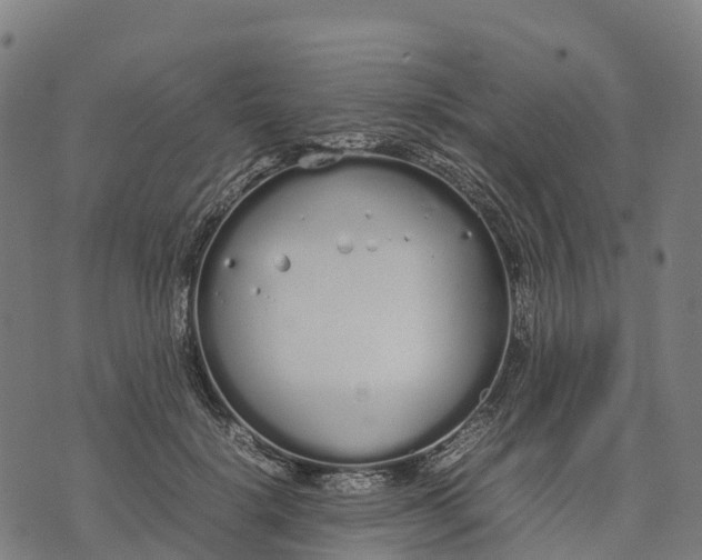 X0000070380652200606231713