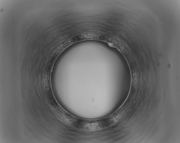 X0000070380653200606231713