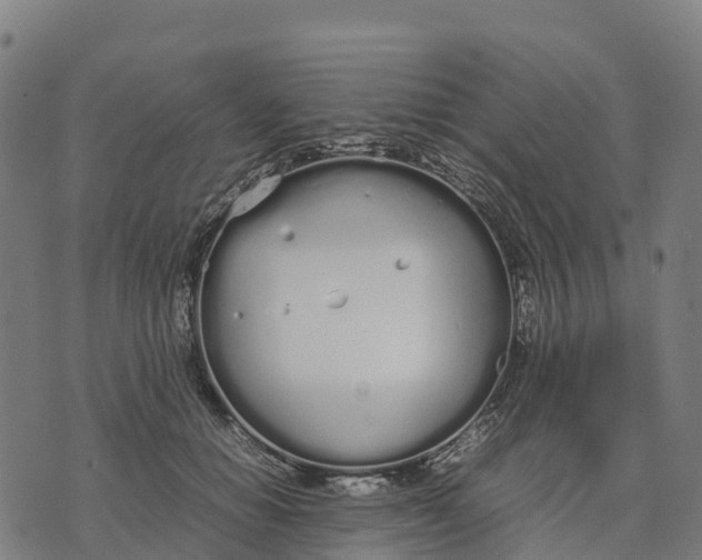 X0000070380654200606231713