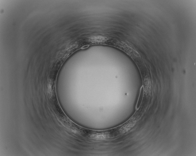 X0000070380655200606231713