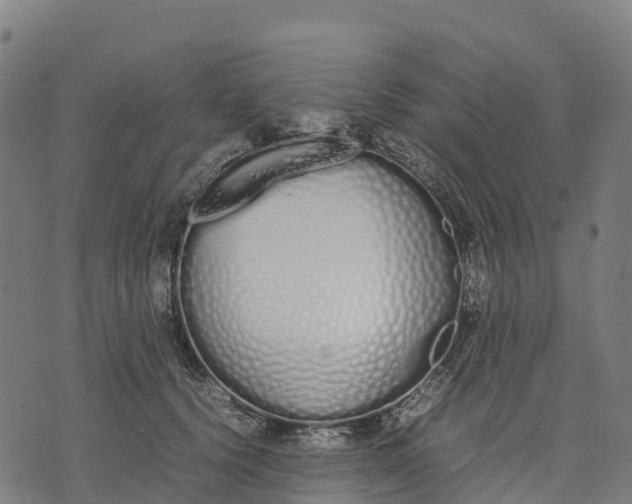 X0000070380656200606231713