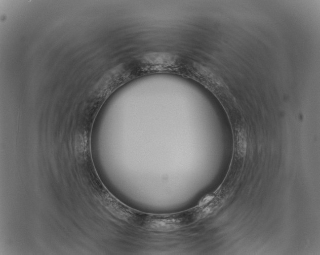 X0000070380657200606231713