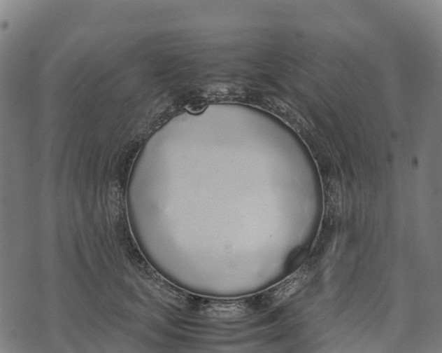 X0000070380659200606231713