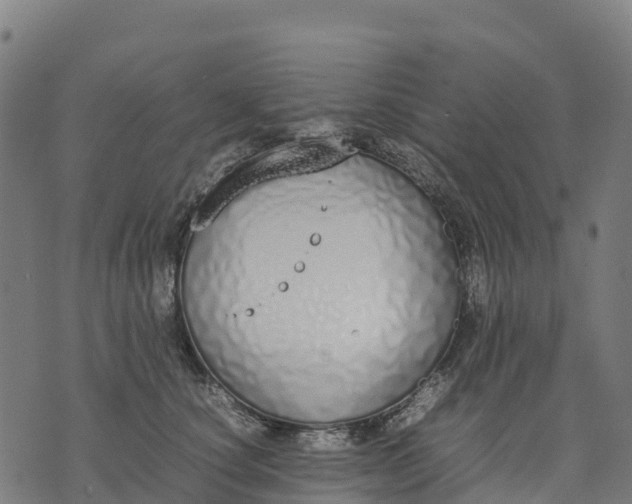 X0000070380660200606231713