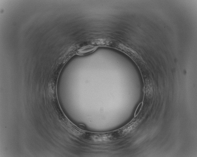 X0000070380661200606231714