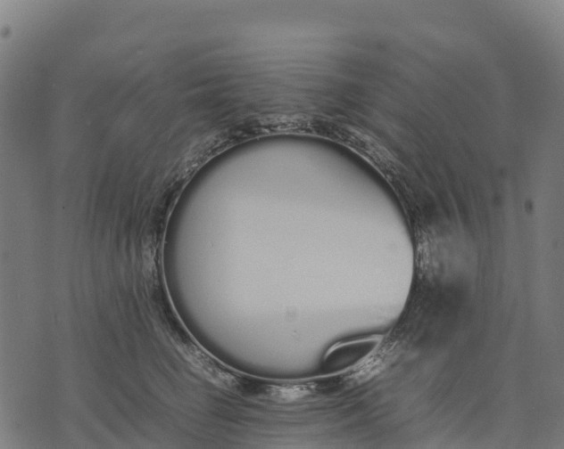 X0000070380662200606231714