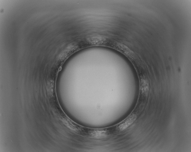 X0000070380664200606231714