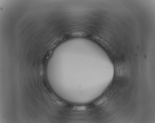 X0000070380665200606231714