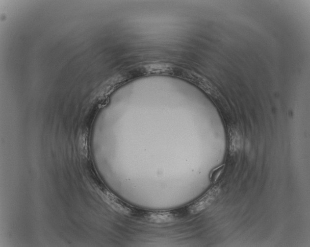 X0000070380666200606231714