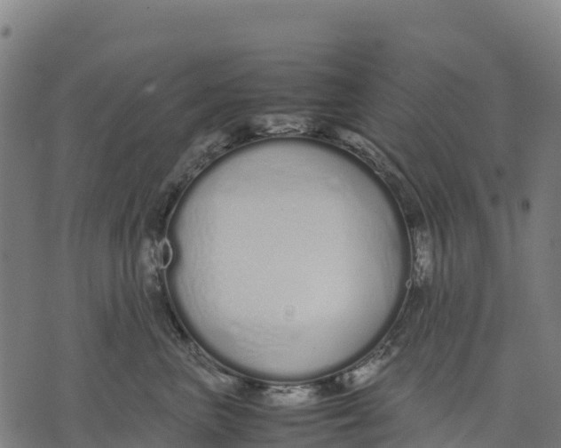 X0000070380667200606231714