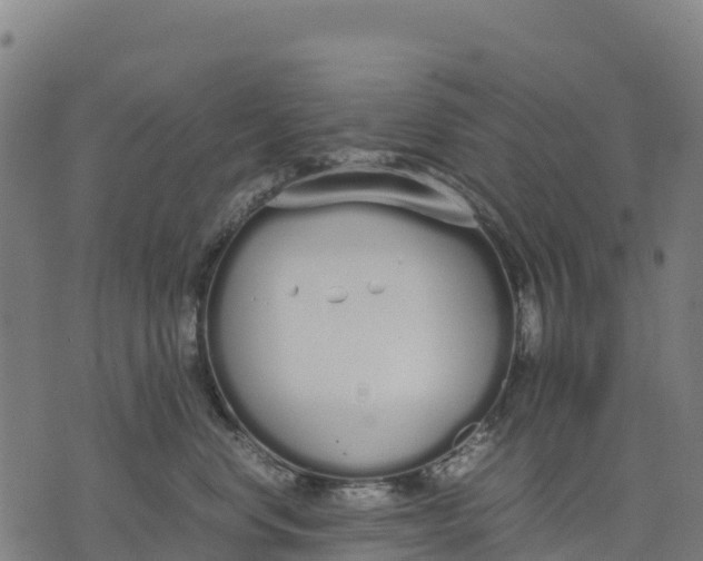 X0000070380668200606231714