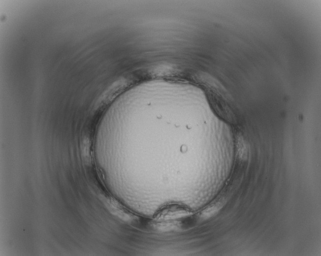 X0000070380670200606231714