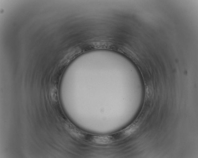 X0000070380671200606231714