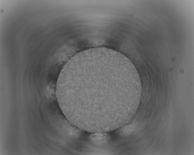 X0000070380672200606231714