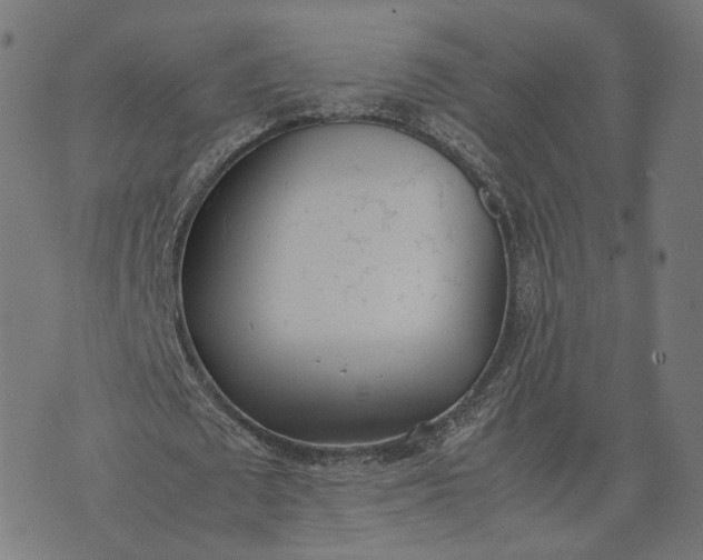 X0000070380673200606231713