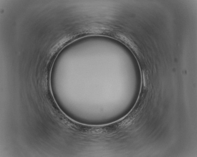 X0000070380675200606231713