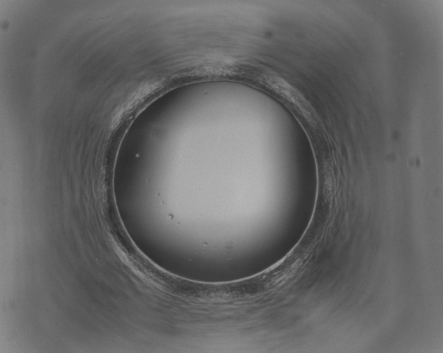 X0000070380677200606231713