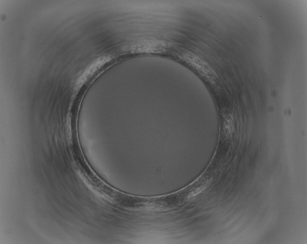 X0000070380678200606231713