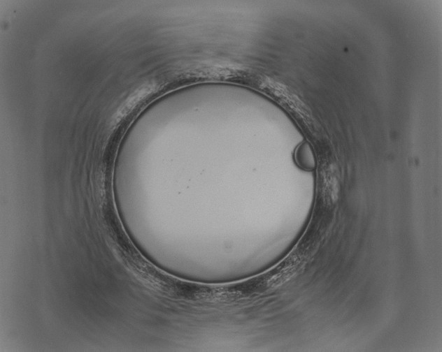 X0000070380679200606231713