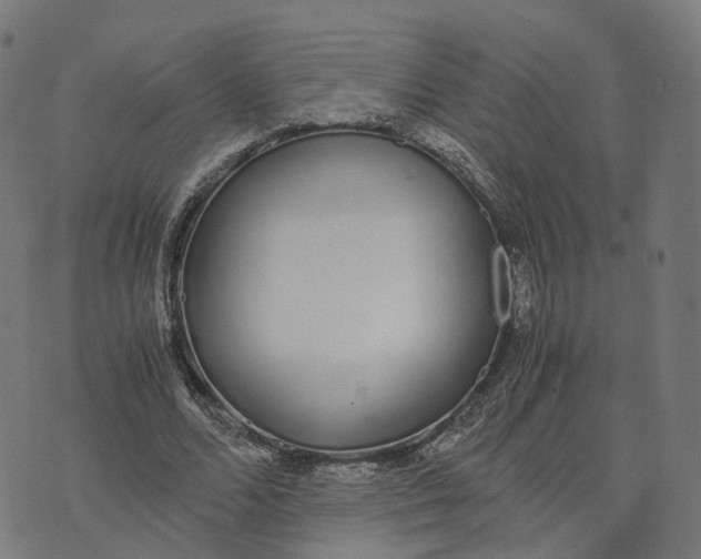 X0000070380680200606231713