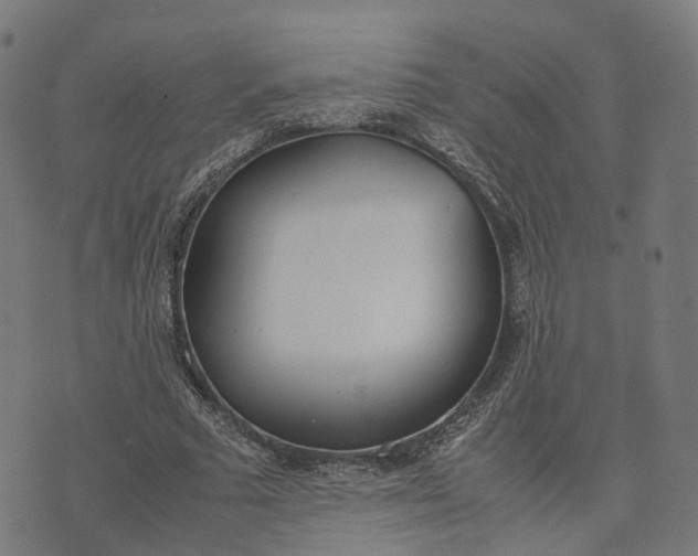 X0000070380681200606231713