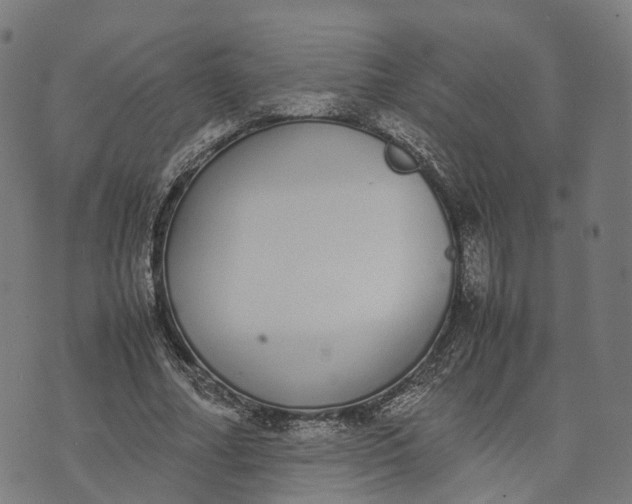 X0000070380682200606231713