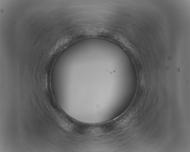 X0000070380685200606231713