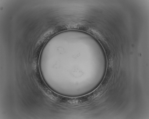 X0000070380687200606231713