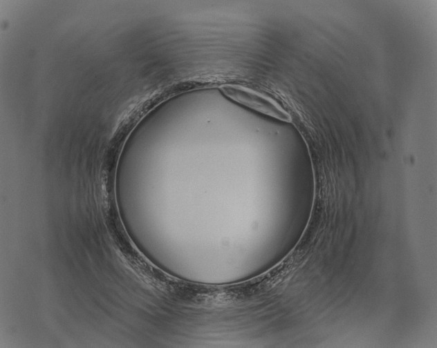 X0000070380688200606231713